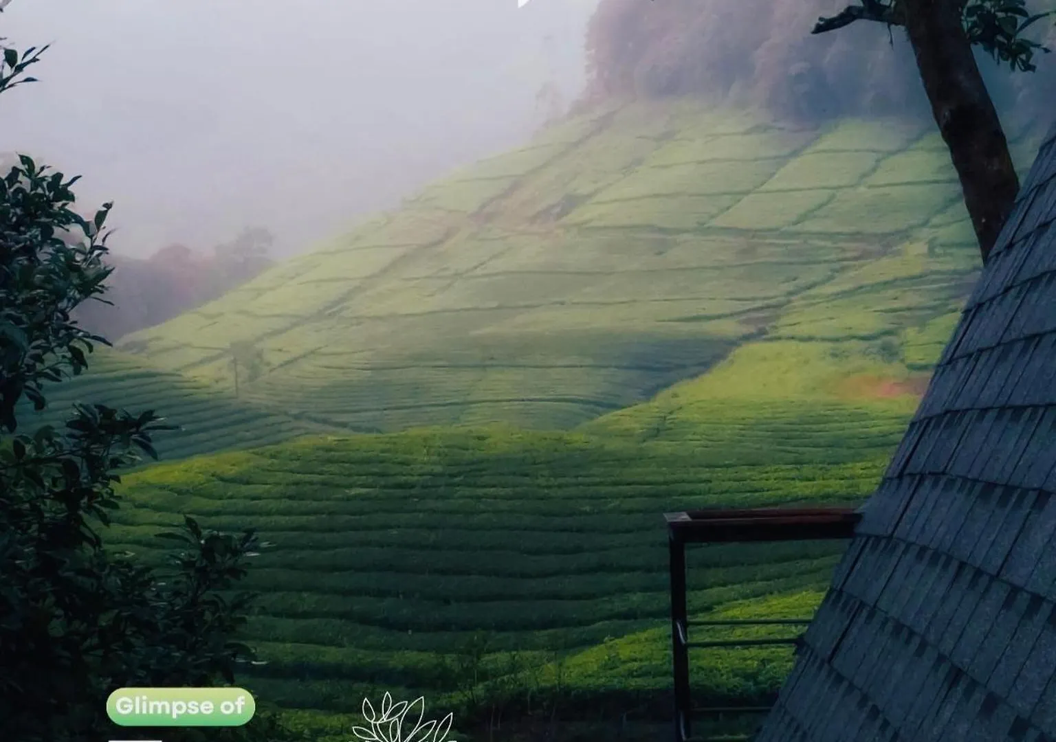 Forestscape Resort Munnar Inde
