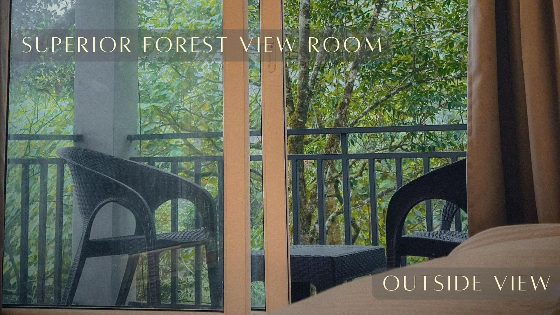 Forestscape Resort Munnar Inde