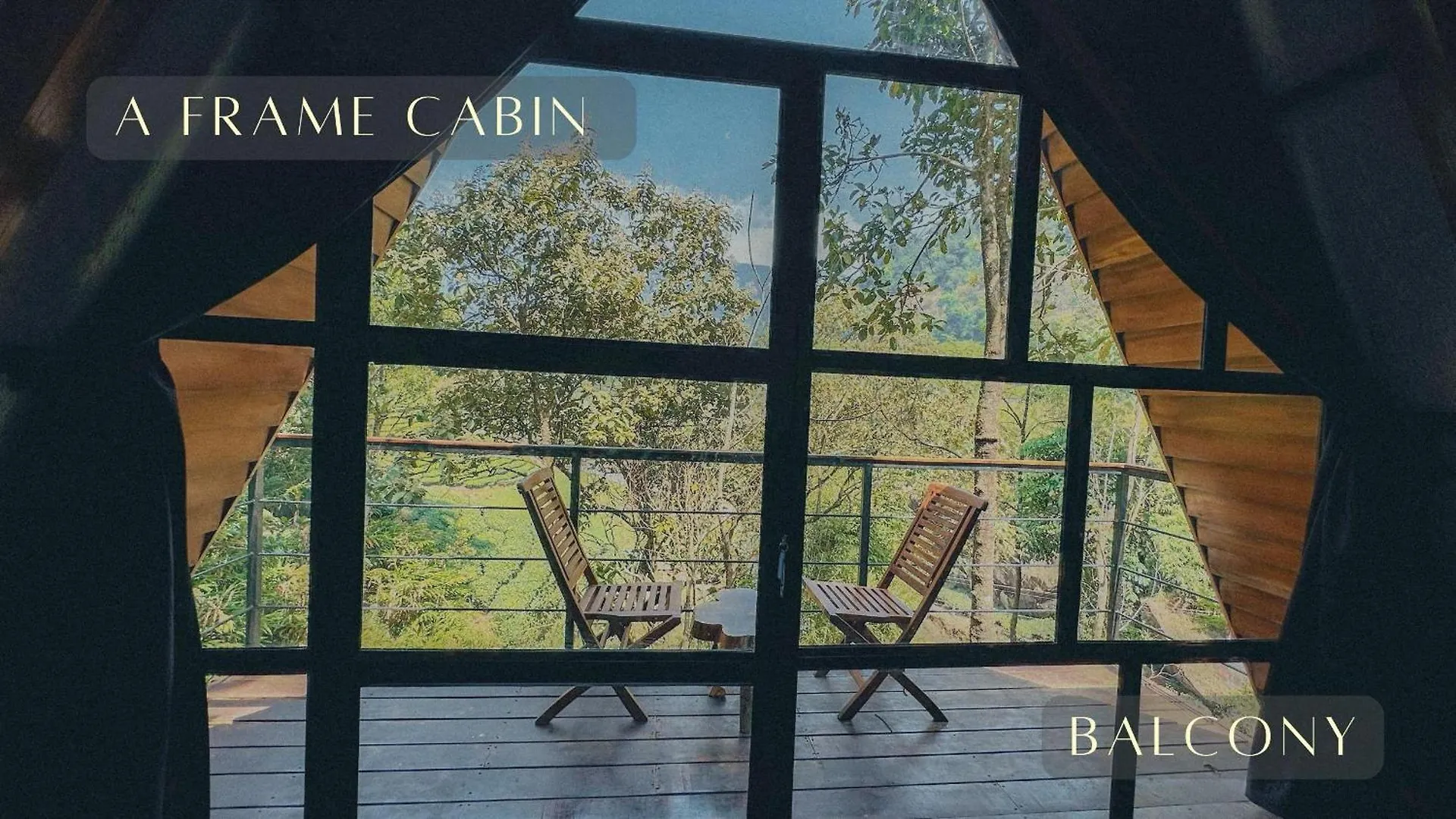 Forestscape Resort Munnar