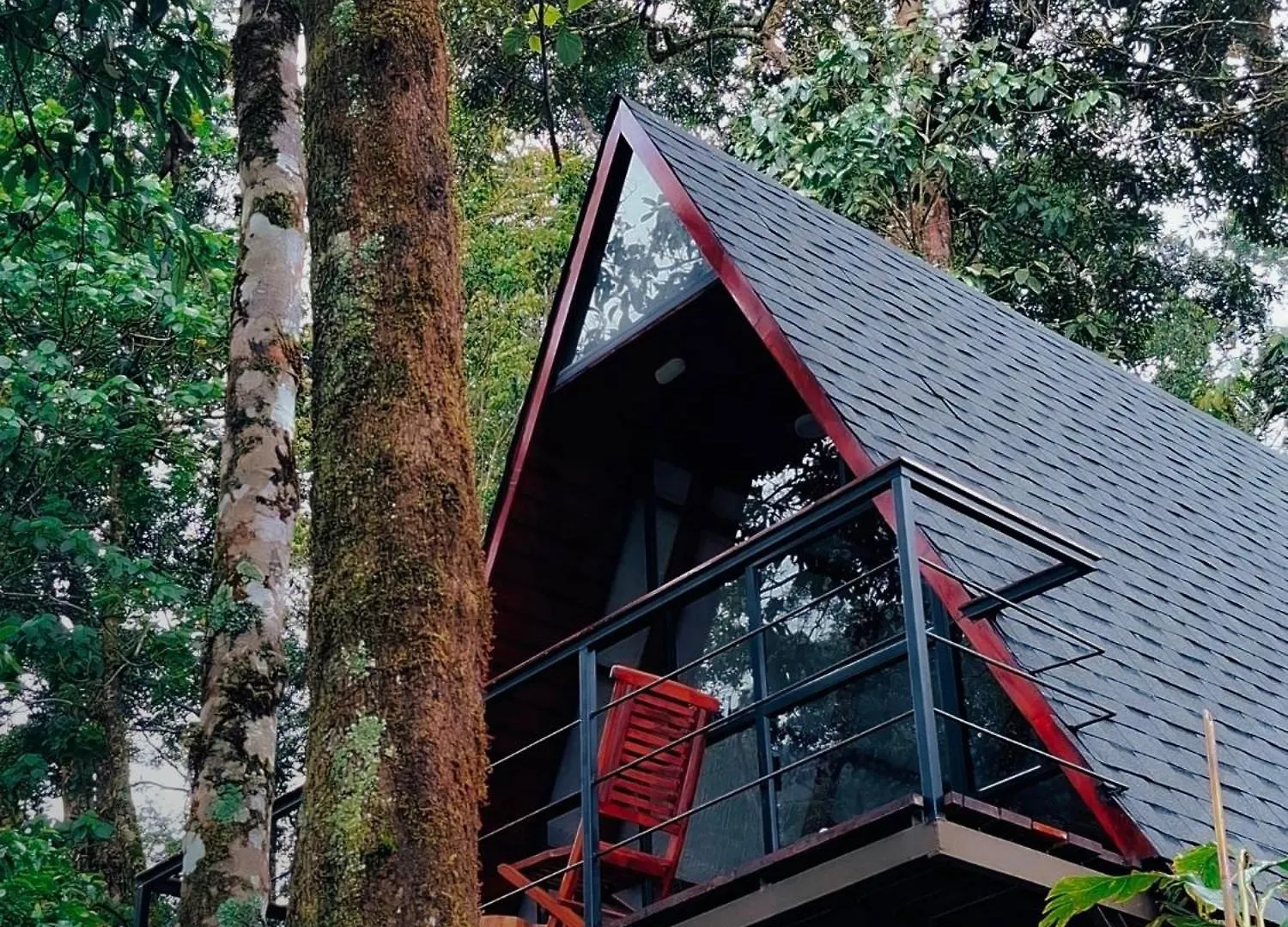 Forestscape Resort מונאר הודו