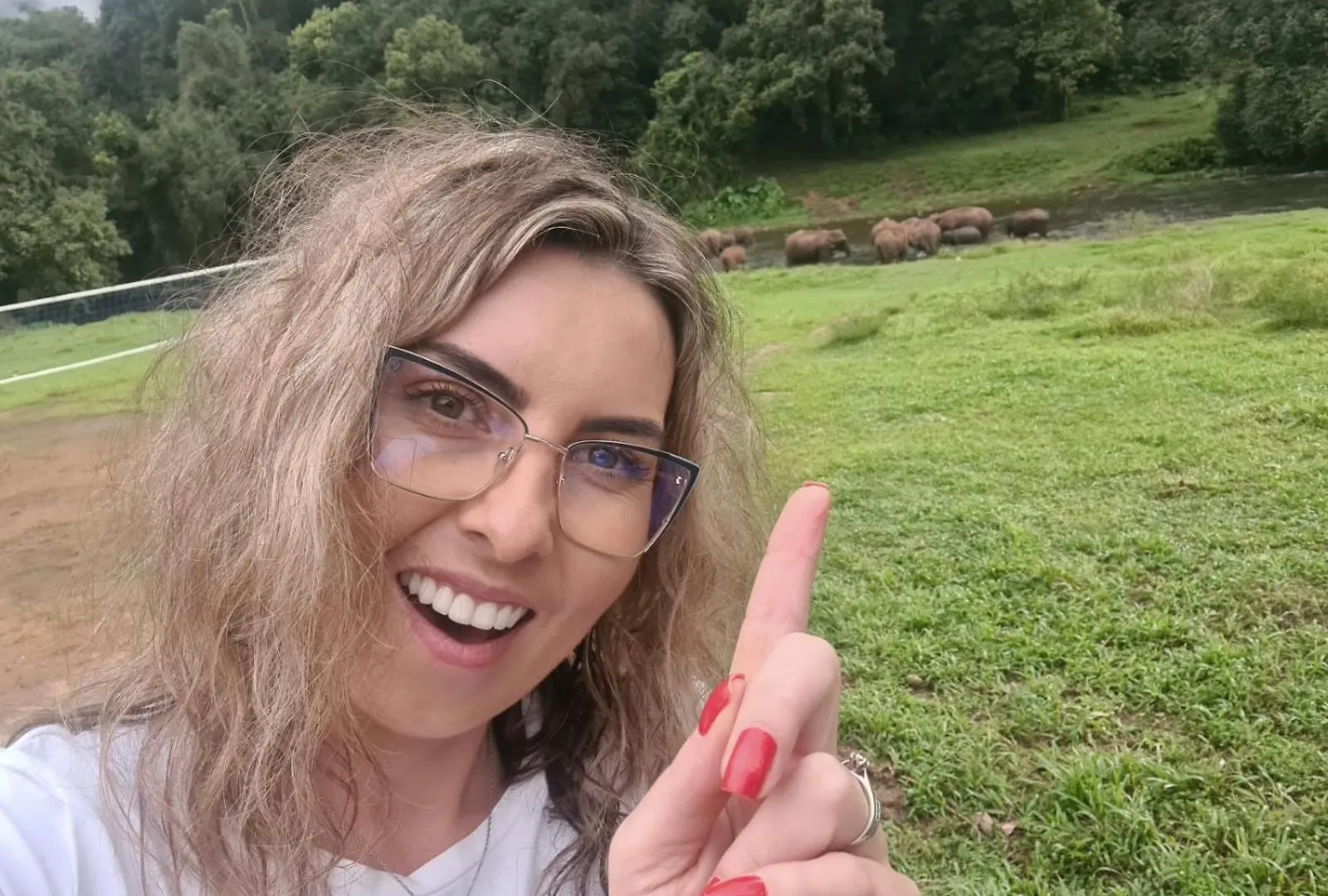 Forestscape Resort מונאר הודו