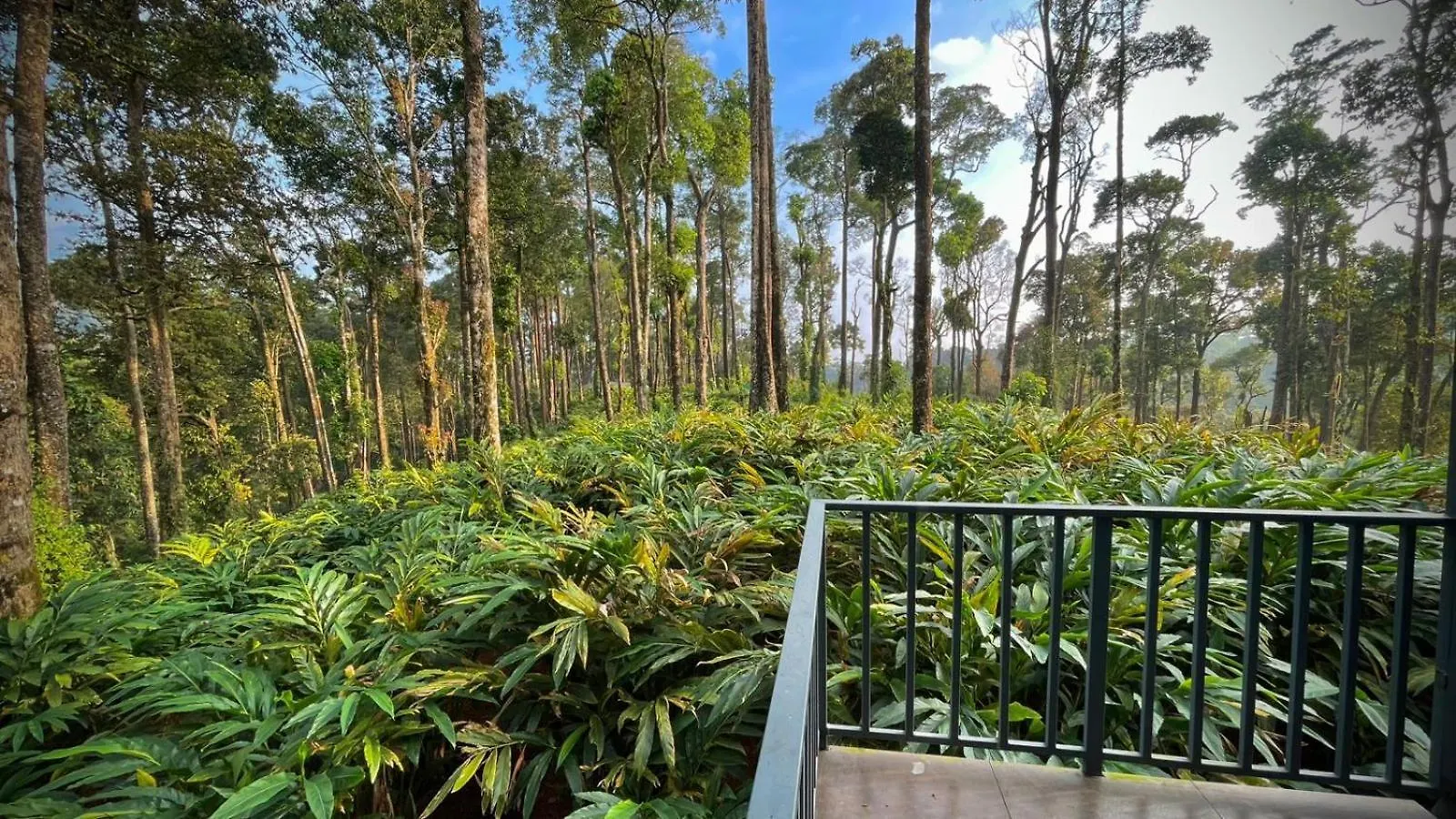 Forestscape Resort מונאר