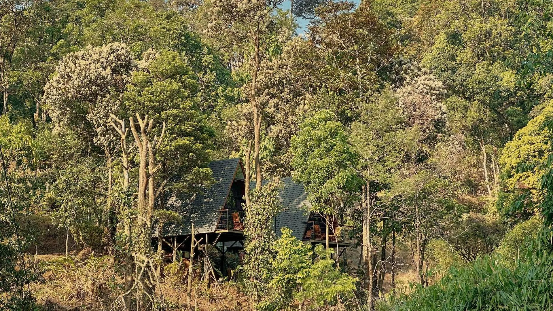 Forestscape Resort מונאר