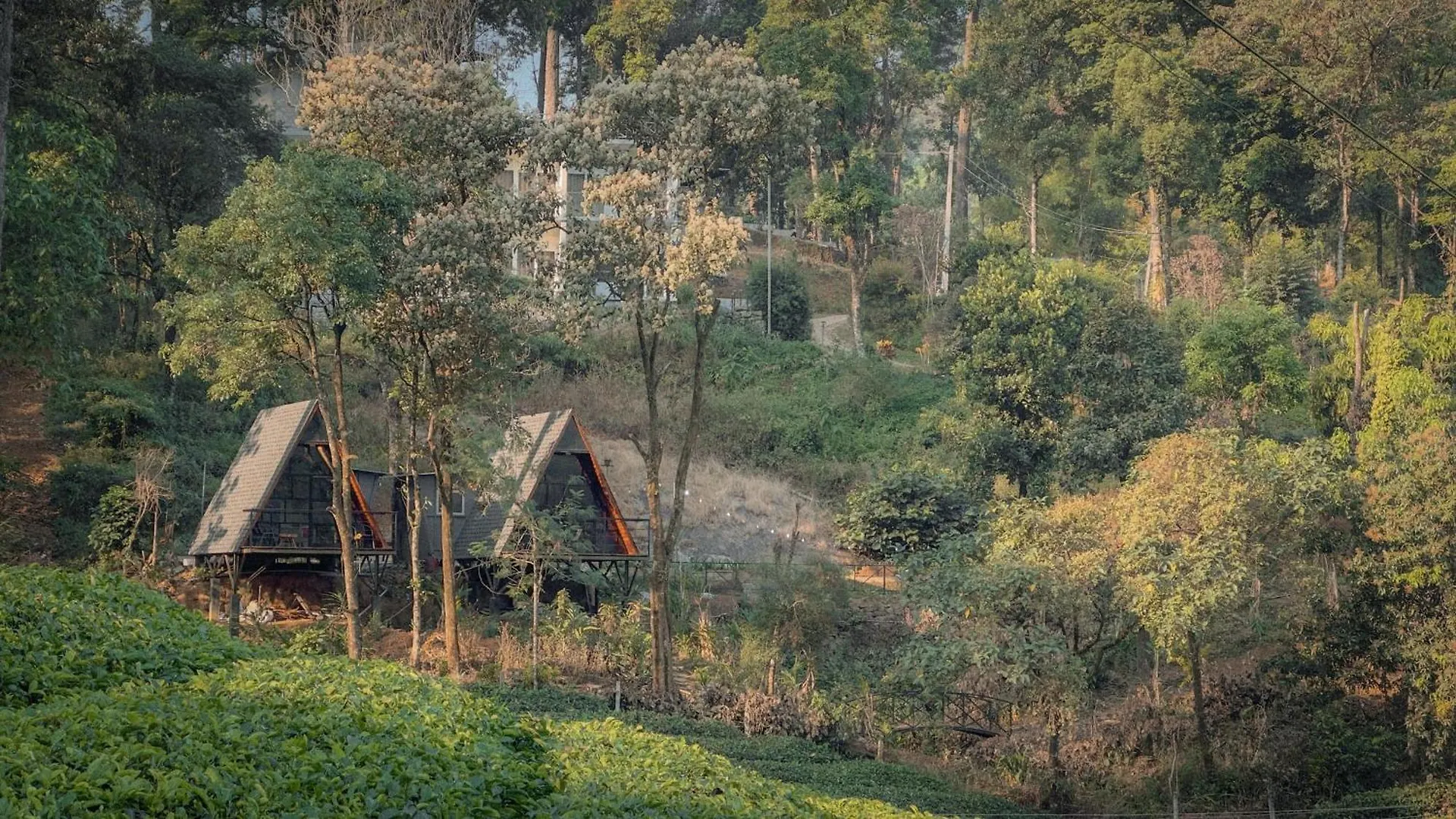 Forestscape Resort מונאר