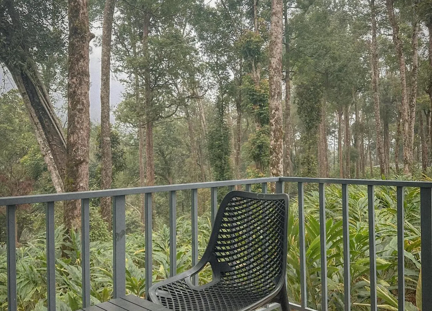 Forestscape Resort מונאר הודו
