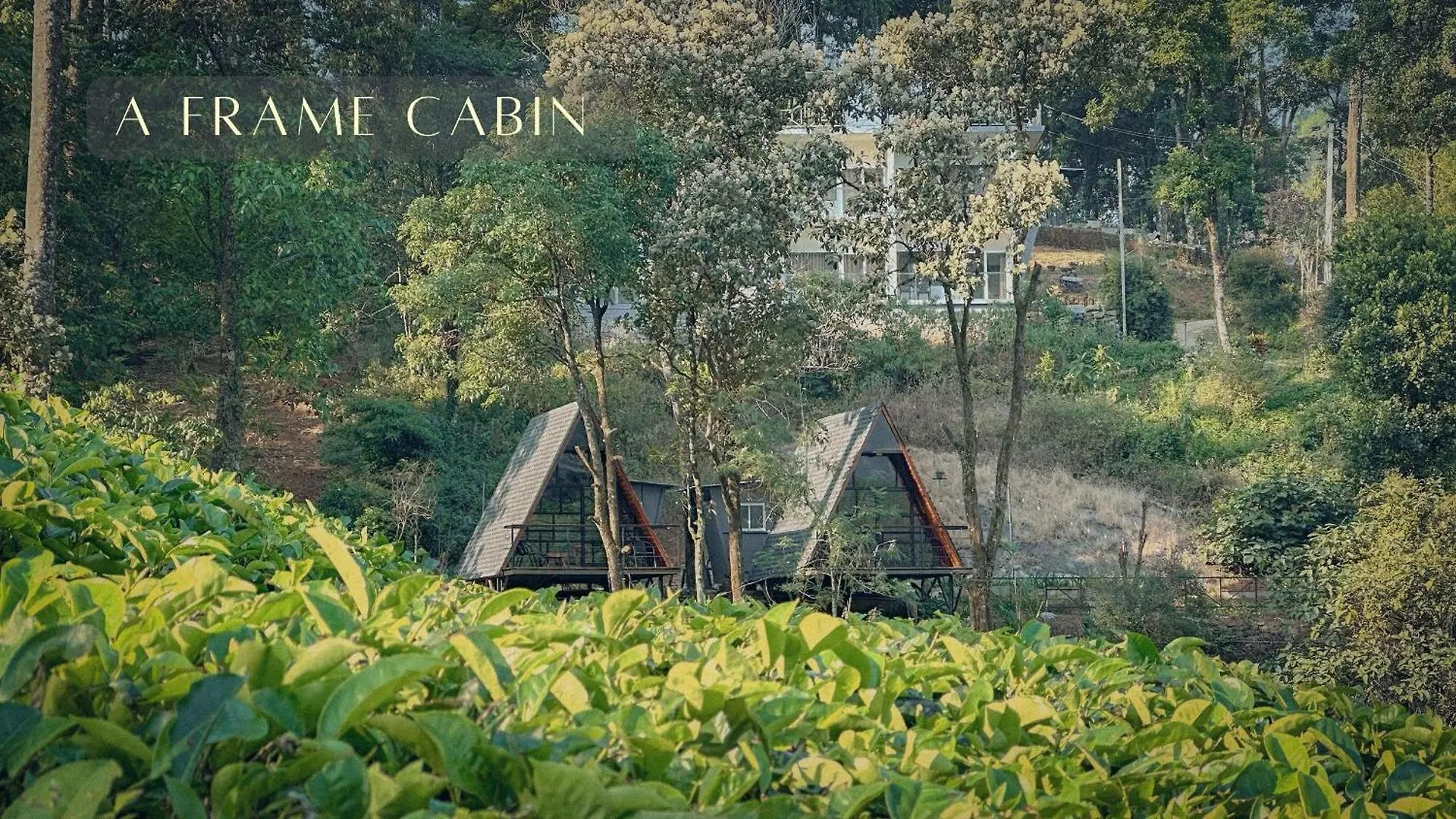 Forestscape Resort מונאר