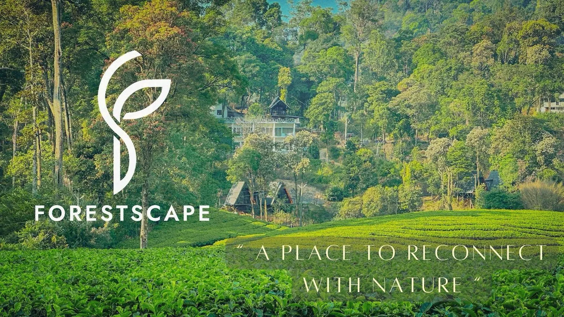 Forestscape Resort מונאר