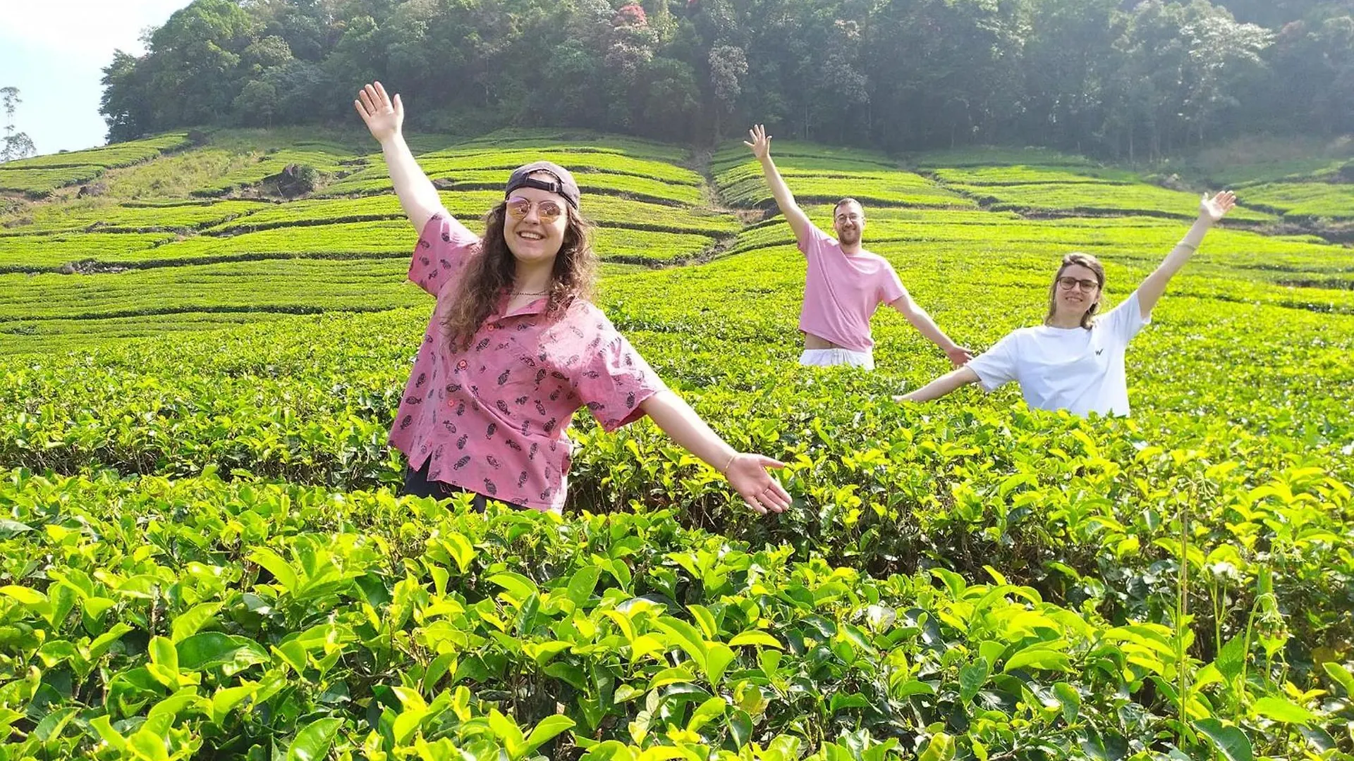 Forestscape Resort Munnar