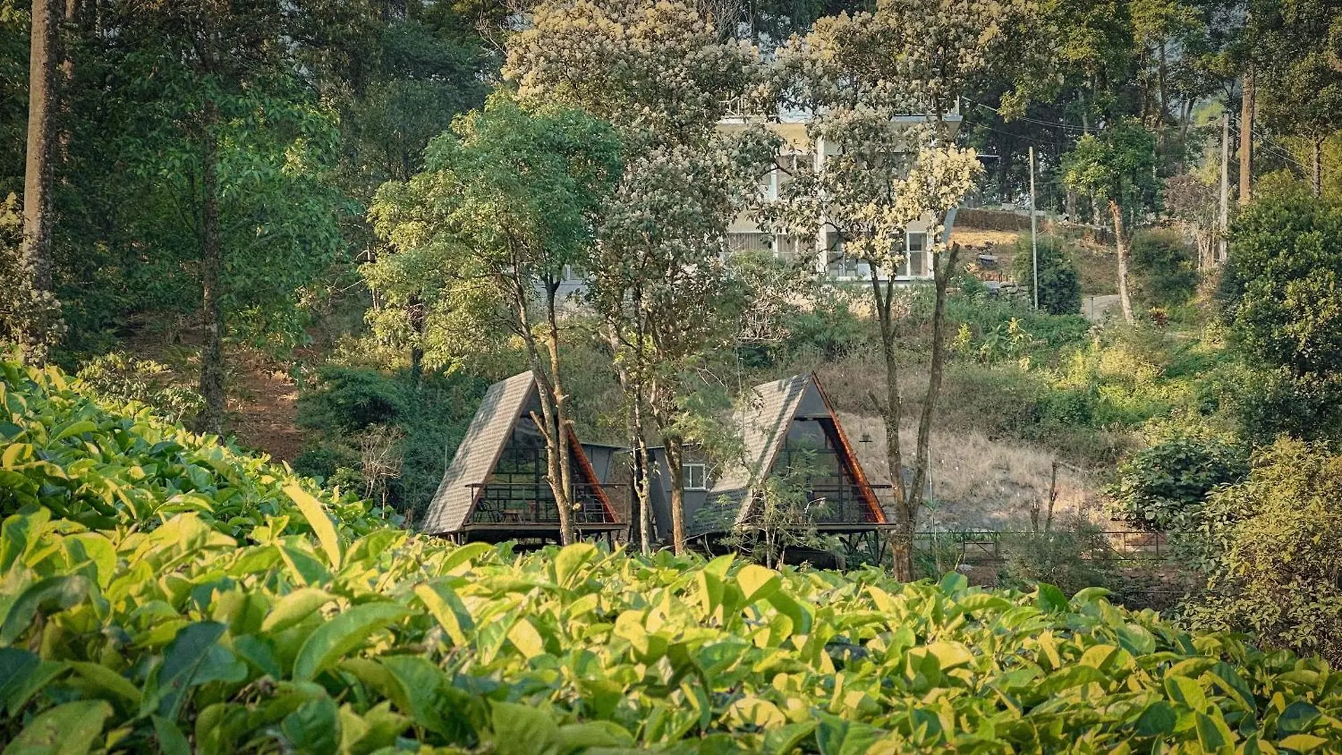 Forestscape Resort Munnar India