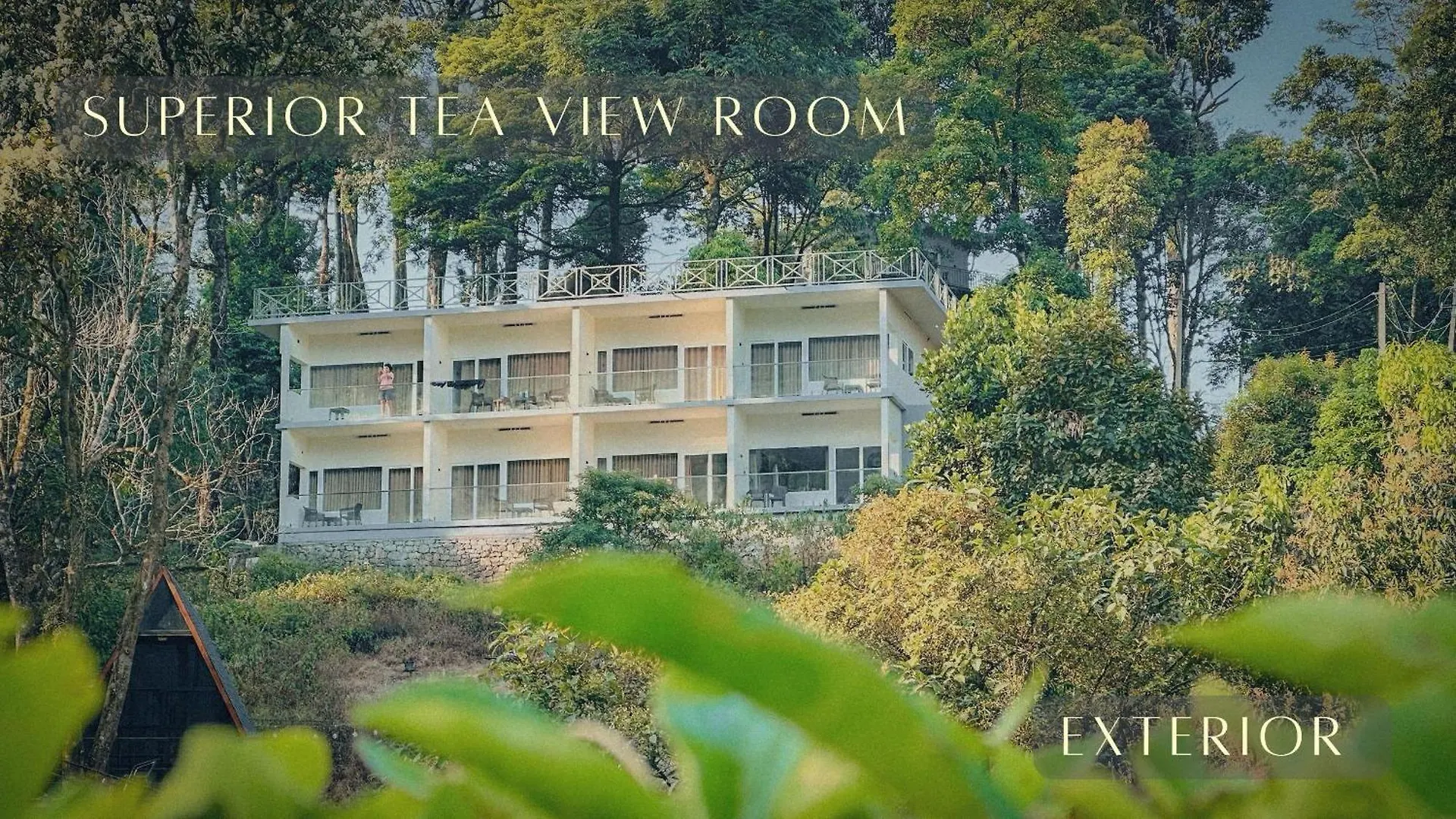 Forestscape Resort Munnar India